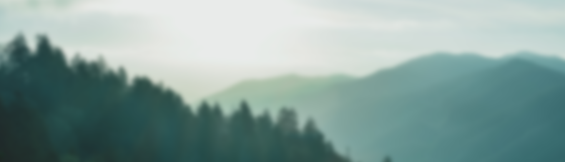 Mount Mansfield Media Testimonials