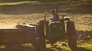 Guy’s Farm and Yard - Haying Family