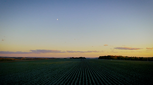 Theriault Smith Farm